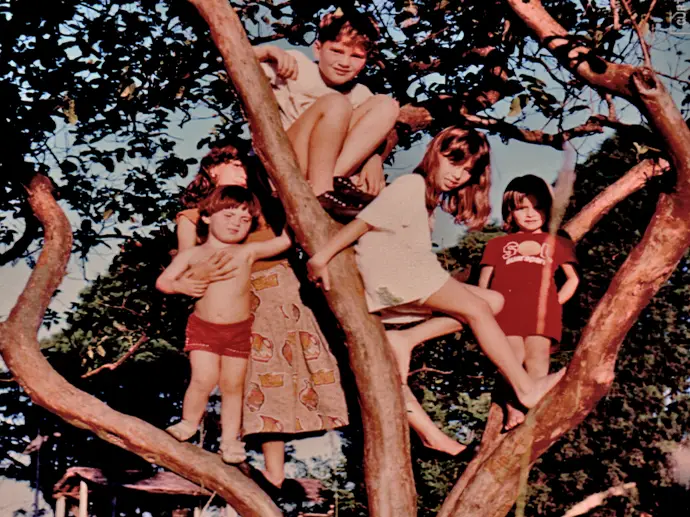 O portal da figueira